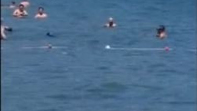 Marmaris’te köpek balığı vatandaşların arasına daldı. Güler misin ağlar mısın yurdum insanı köpek balığını paspasla kovaladı