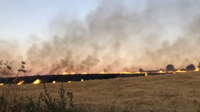 130 dönüm ekili bezelye ile 40 dönüm buğday alev alev yandı