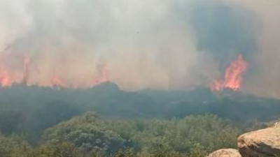 Çanakkale'de orman yangını (05 Temmuz 2022)