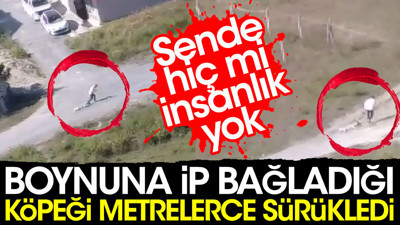 Boynuna ip bağladığı köpeği metrelerce sürükledi