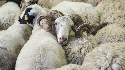 Uzman diyetisyenden Kurban Bayramı için beslenme önerisi