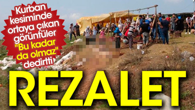 Kurban kesiminde ortaya çıkan görüntüler "Bu kadar da olmaz" dedirtti