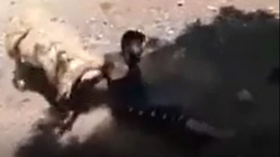 Sen misin bizi kesilmeye götüren. Koç intikamını çok sert aldı