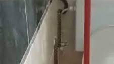 Yüzünü yıkamak için banyoya girdi, 2 metrelik bir yılanla karşılaştı