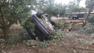 Otomobil zeytinliğe uçtu: 3 yaralı