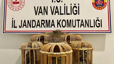Van'da 5 adet canlı keklik yakalandı