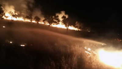 Sigara izmariti zeytinlik alanı yaktı