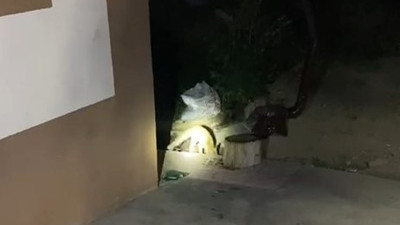 Aç kalan tilki evin bahçesine girerek yiyecek aradı