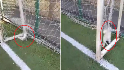 Halı sahada top oynamaya gelenler insanlık dışı manzarayla karşılaştı…