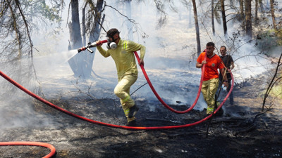 Ciğerlerimiz yandı. Edirne’de orman yangını: 5 dönüm alan küle döndü