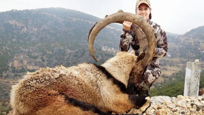 Ülkenin hayvanını bile satıyorlar. 21 bin yabancı hayvanları katletmek için Türkiye’ye geldi