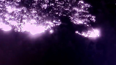 Gece görüşlü 1 helikopter sabaha kadar savaştı. O helikopterin görüntüleri ortaya çıktı