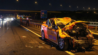 İstanbul’da yola çıkan 2 mandaya taksi çarptı. 1 kişi ve 2 manda öldü