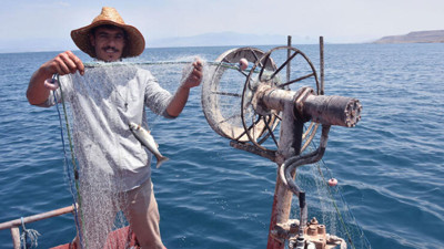 Van Gölü'nde inci kefali için yasak bitti