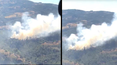 Manisa'da orman yangını