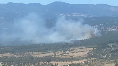 Bornova’da orman yangını