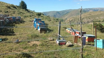 Gümüşhane'de çalınan arı kovanları JASAT ekiplerince bulundu