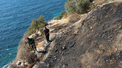 Kuşadası'nda makilik alanda yangın