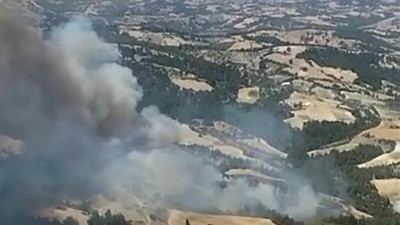 Manisa'da orman yangını