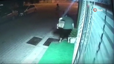 Çam ağacın dallarını kırıp götüren kadın pes dedirtti