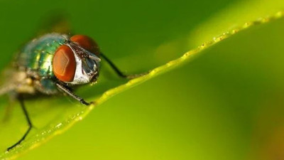 Ameliyatsız çözümlere çare