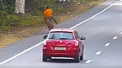 Bisiklet sürücüsüne leopar böyle saldırdı. Yürekleri ağza getiren görüntüler