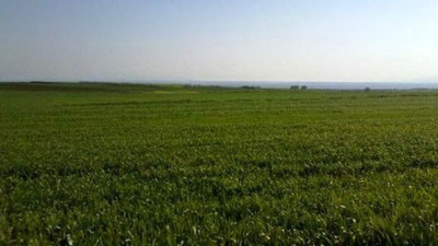 Amasya Merzifon’da icradan satılık tarla