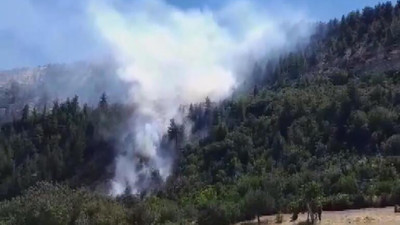 Ermenek'te orman yangını