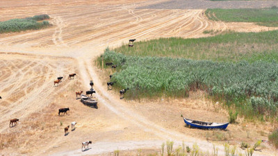 Marmara Gölü’nü kurtaracak proje açıklandı