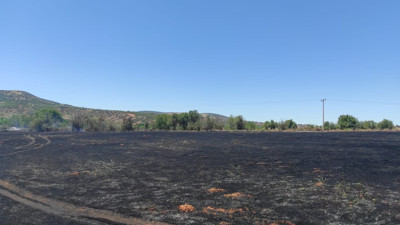 Bilinçsizce yakılan anız 50 dekarlık alanı küle çevirdi