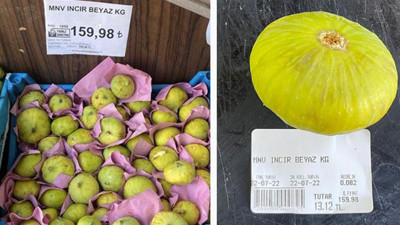 Memleketin ocağına incir ağacı diktiler. Bereketli topraklara sahip tarım ülkesiydik, incirin tanesi 13 lira oldu