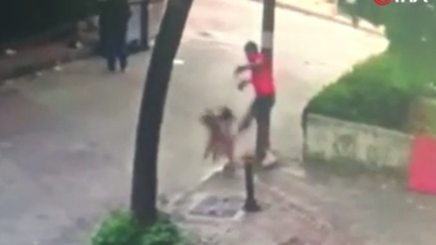 Kediye saldırmak isteyen köpek hayatının şokunu yaşadı. Saldırıya uğrayan köpek kedinin gazabından bakın nasıl kurtuldu