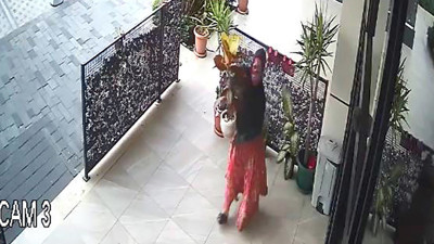 Pes dedirten hırsızlık! Saksıdaki çiçeği çaldı…