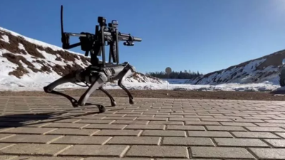 Robot köpek sırtındaki tüfekle bütün hedefleri vurdu