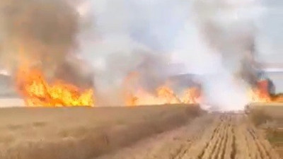 Tokat’ta 30 dönüm buğday tarlası kül oldu