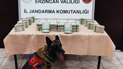 Yolcu otobüsündeki uyuşturucuyu narkotik köpeği 'Avcı' buldu