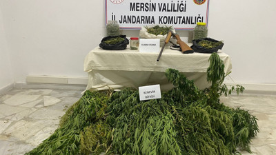 Çadıra uyuşturucu operasyonu