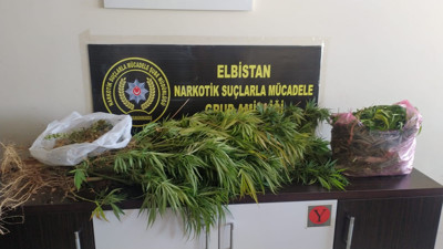 İş yerine kenevir operasyonu