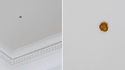 Tavana atılan çizburgerdeki turşu sanat eseri olarak sergileniyor