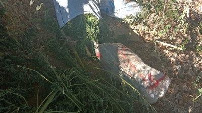 Çuval içerisinde 24 kilo Hint Keneviri ele geçirildi