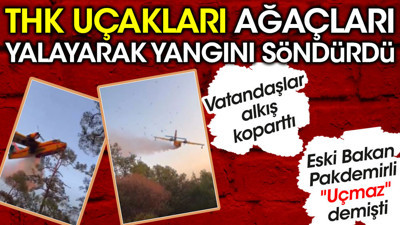 Eski bakan Bekir Pakdemirli ''Uçmaz'' demişti. THK uçakları ağaçları yalayarak yangını söndürdü