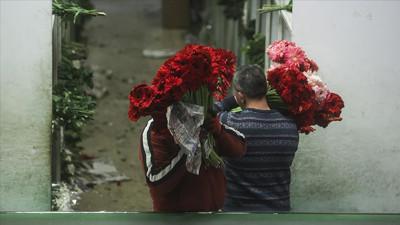 Çiçekçiler Öğretmenler Günü için hazır! Saksıda ve demet çiçeklerine yoğun ilgi