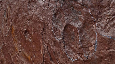 Çin’de dinozor ayak izleri bulundu