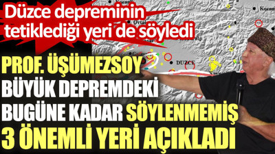 Prof. Üşümezsoy büyük depremdeki 3 önemli yeri açıkladı. Düzce depreminin tetiklediği yeri de söyledi