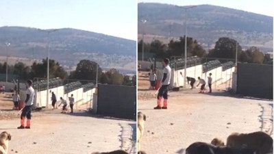 Ünlü isimler Konya'daki hayvan barınağındaki vahşete tepki gösterdi