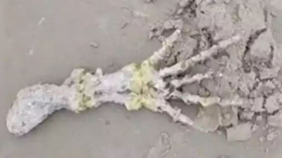 Deniz kenarında bulunan elin sahibi bakın kim çıktı