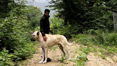 Köpekle poz verdi. İsmail Hacıoğlu küreği olan gelsin dedi