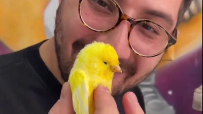 Ölü taklidi yaparak veterinerden kurtulmak isteyen kanarya gündem oldu