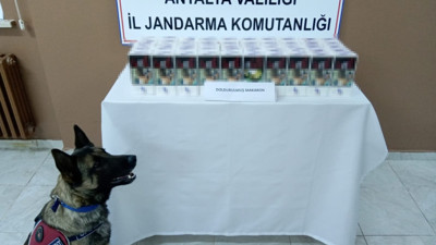 Yolcu otobüsünden 10 bin adet doldurulmuş makaron çıktı