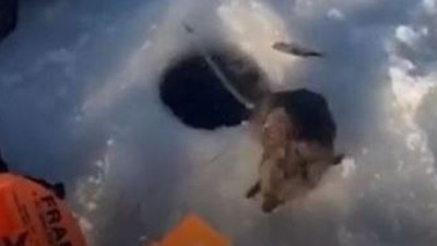 Buzda balık yakalarken balık yerine ne çıktı